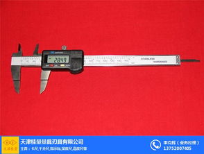 面差尺 桂量量具非標現貨 優質商家 湛江數顯面差尺